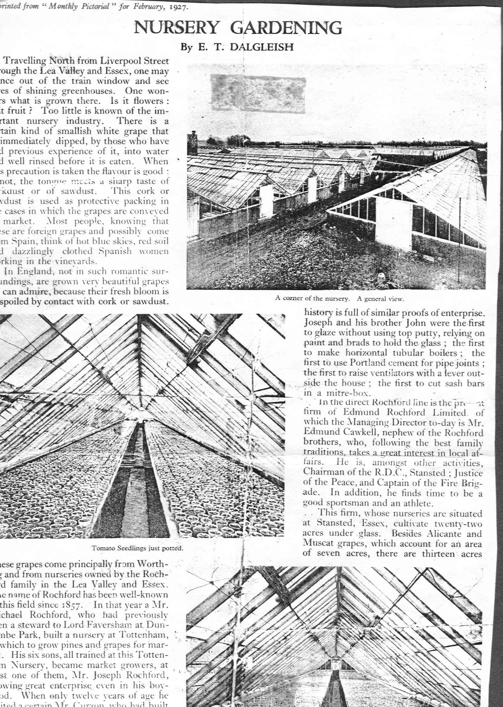 Rochfords article 1