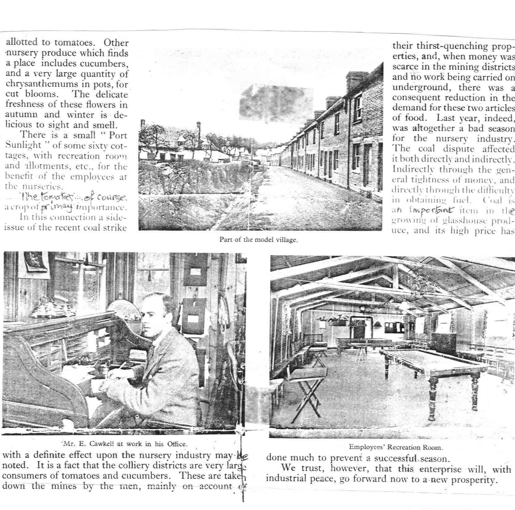 Rochford's article 2